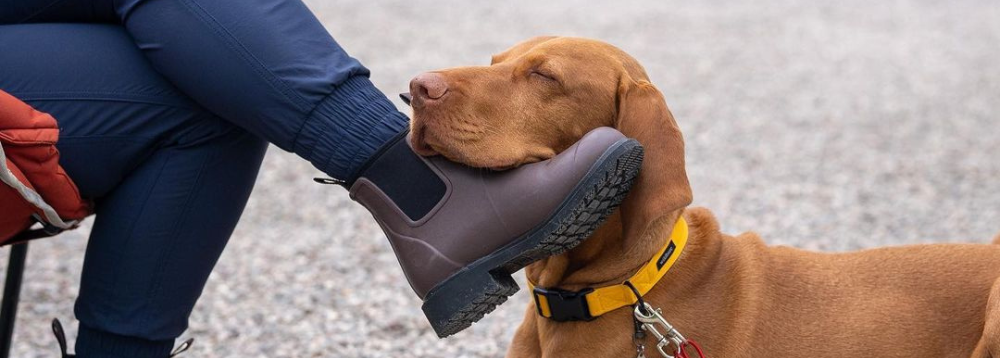 Here's Why These Are the Best Rain Boots for Dog Walking