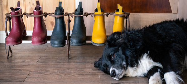 How To Care For Wellington Boots