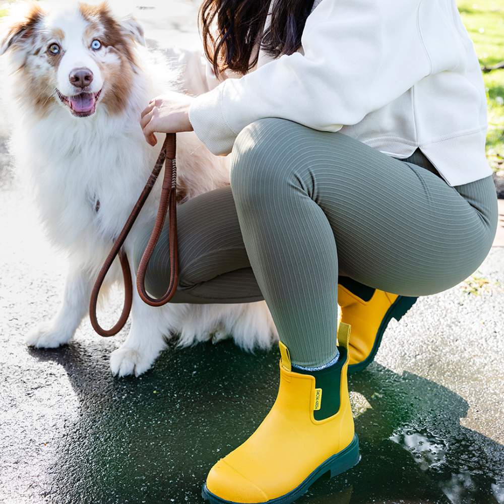 Dog on sale walking boots